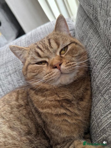 Gallery Image {{count}}