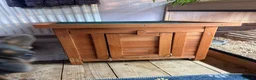Tortoise reptiles for sale: Female horsefield tortoise - Advert 2
