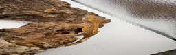 Gecko reptiles for sale: 🦎BABY MIXED CRESTED GECKOS AVAILABLE 🦎 - Advert 6
