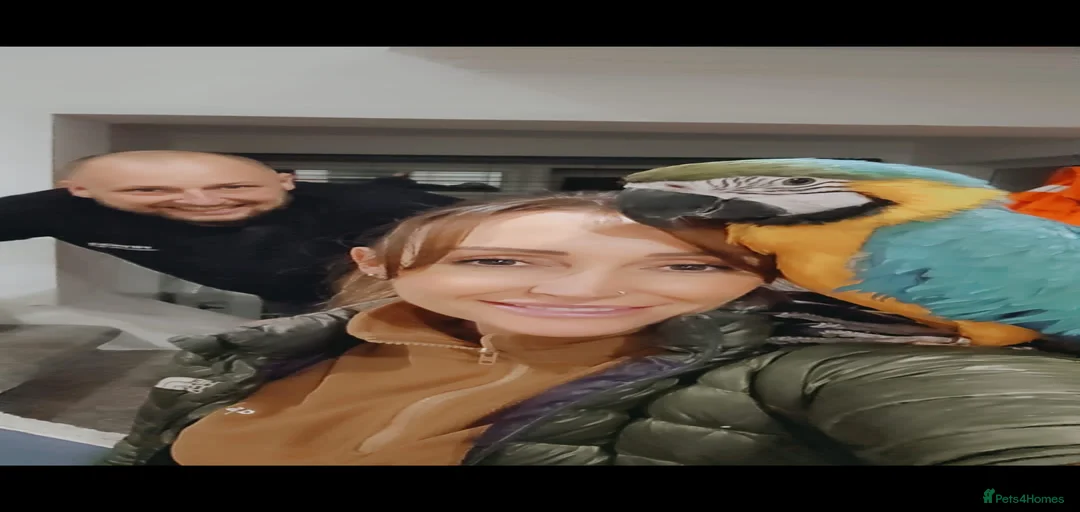 Gallery Image {{count}}