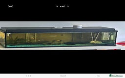 Other/Mixed Breed fish for sale: Fish tank and fish full set up need gone £40 - Image 3