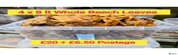Millipedes invertebrates for sale: Pick & Mix see Photos  - Advert 9