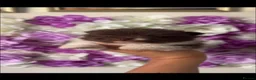 Pomeranian dogs for sale: Rare colours Pomeranians  - Advert 2