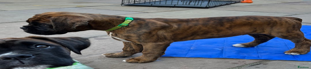 ***RESERVED***Male, Green Collar