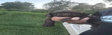 Sprocker 1