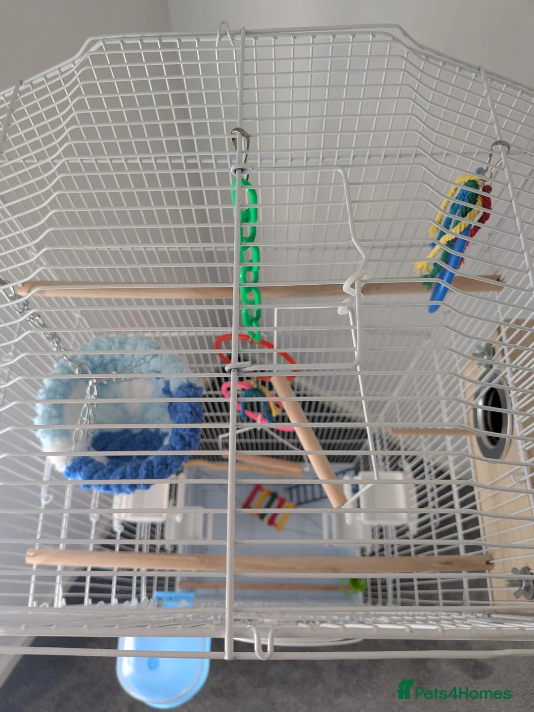 Mixed Breed birds for sale: Bird cage for sale. XXL BRAND NEW accessories Inc. in Dartford - Advert 16