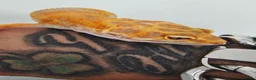 Leopard Gecko reptiles for sale: Tremper Albino Tang Leopard geckos for sale  - Advert 4