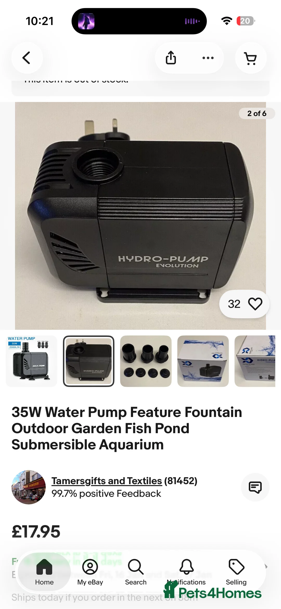 Other/Mixed Breed fish for sale: 2 Axolotls and whole set up  - Advert 8