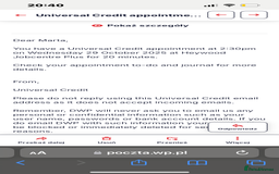 Shih Tzu dogs for sale: SHIT TZU grey puppy - Image 13