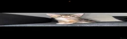 Mixed Breed cats for sale: Tabby cross main coon kittens  - Advert 11