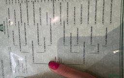 Pomeranian dogs for stud: ICE WHITE STUD POMERANIAN PROVEN -3 year old in London - Image 29