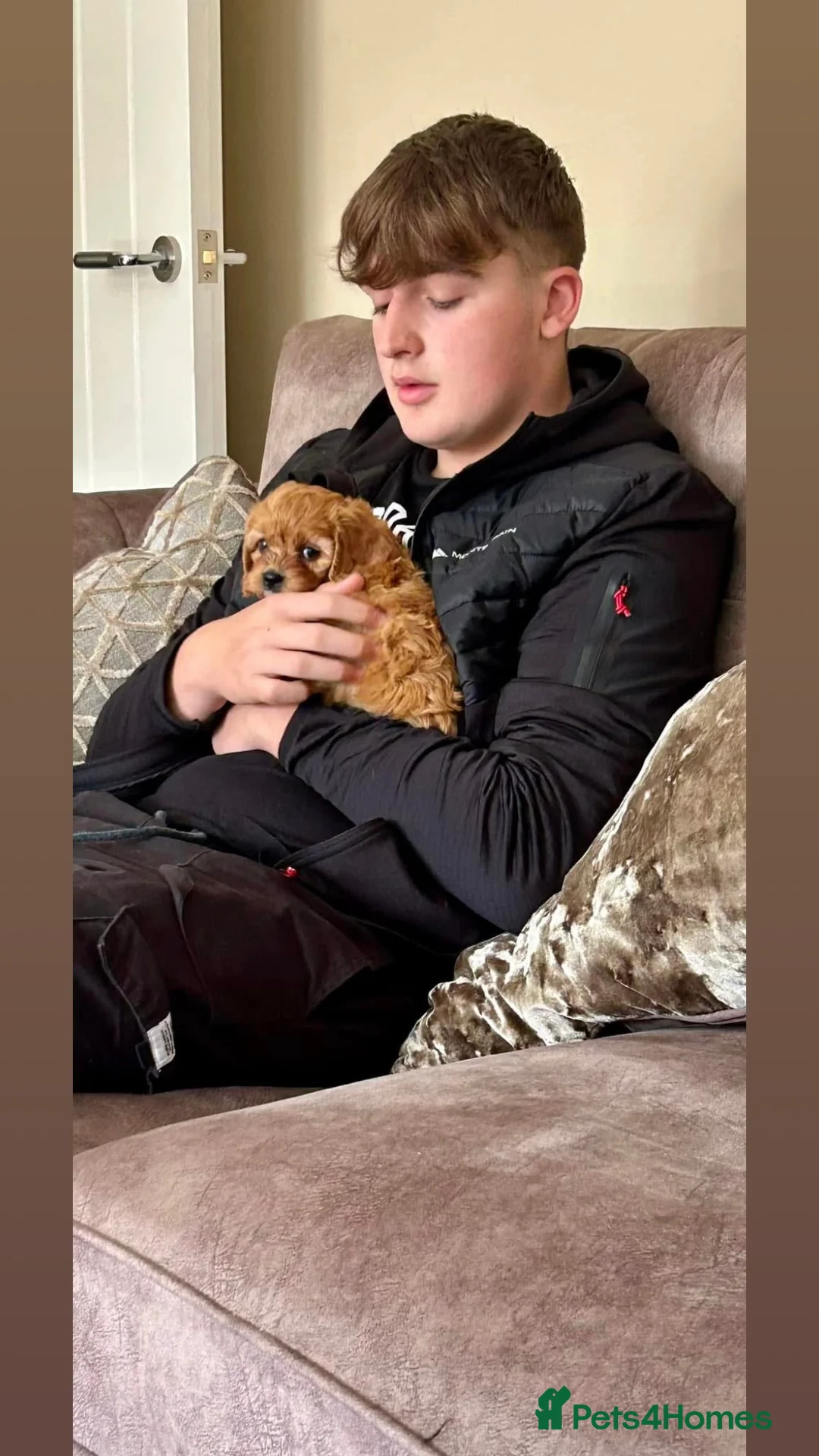 Gallery Image {{count}}