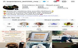 Toy Poodle dogs for stud: 🔥One-in-a-Million Asian ☕️ toy poodle DNA Stud🧸 in Thetford - Image 2