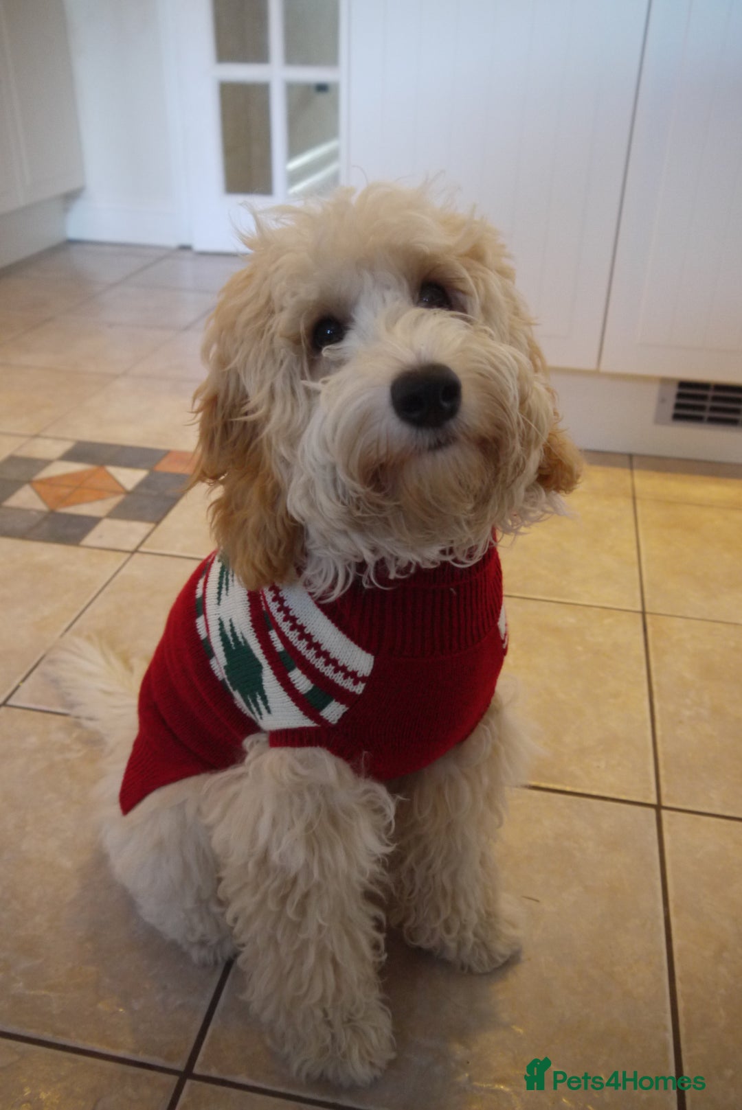 Gallery Image {{count}}