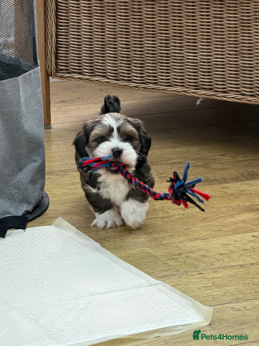 Gallery Image {{count}}