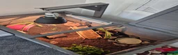 Hermann Tortoise reptiles for sale: Hermanns Tortoise & Set Up in Salisbury - Advert 3