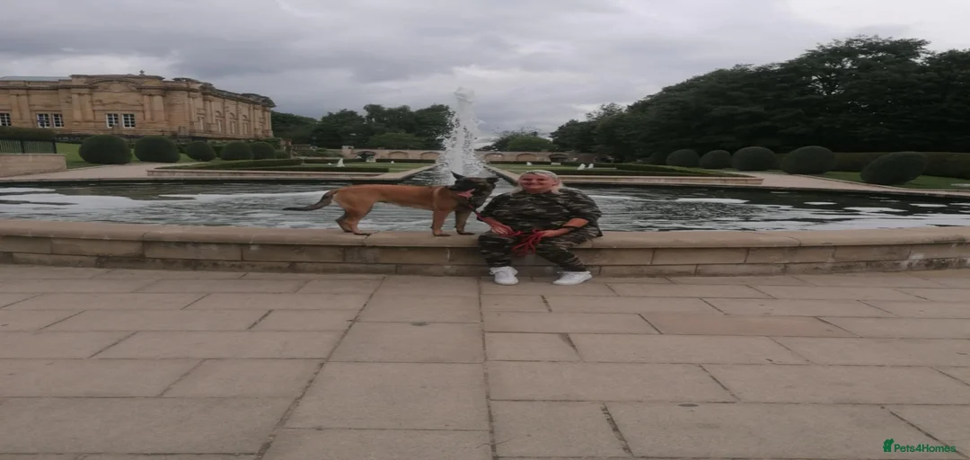 Gallery Image {{count}}