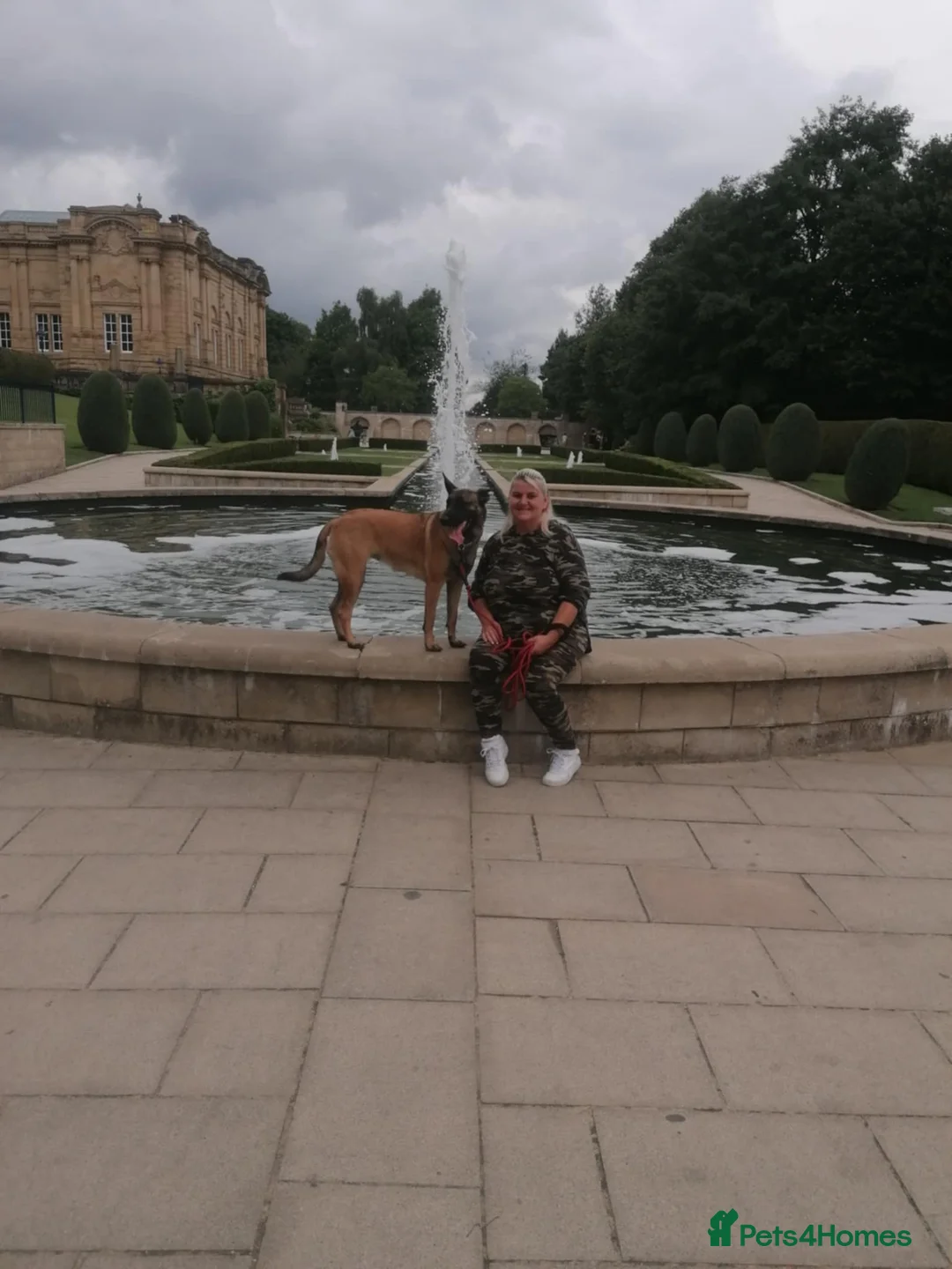 Gallery Image {{count}}