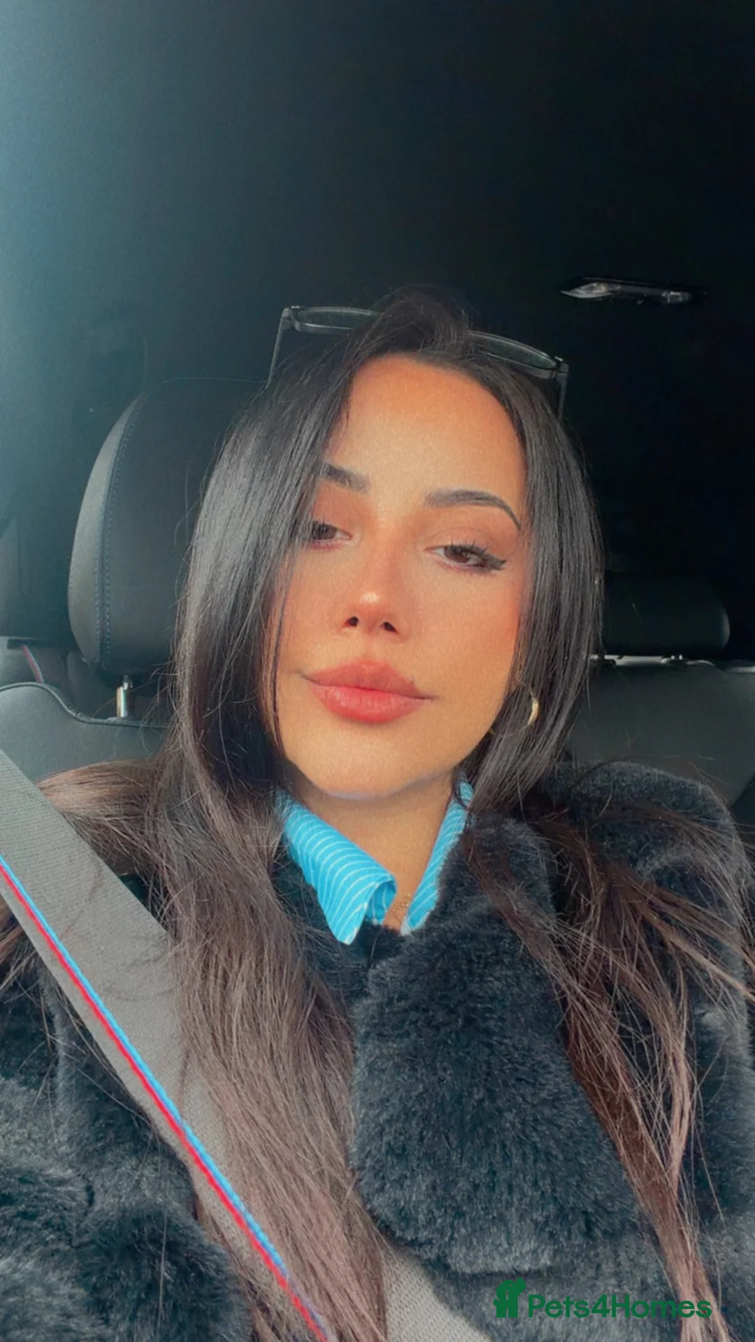 Gallery Image {{count}}