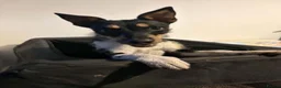 Patterdale Terrier dogs for sale: 8 month old pup female patterdale terrier  in Saint Helens - Advert 1