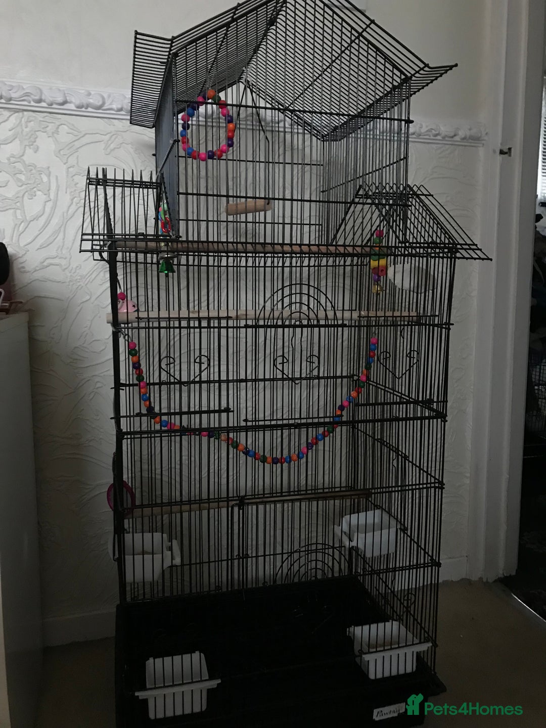 Budgerigars birds for sale: 2 budgies and cage - Image 4