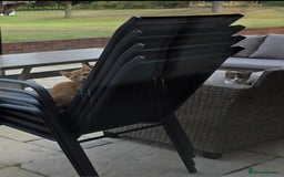 Mixed Breed cats for sale: 2 kittens need a loving home - Image 6