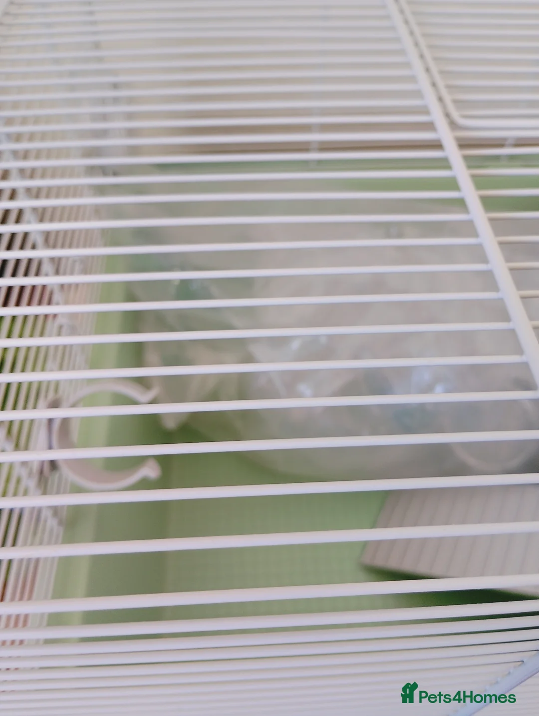 Hamster rodents for sale: 2 brilliant hamster cages - Advert 9