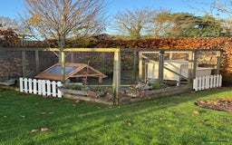 Chickens poultry for sale: Pekin Bantams and coop for sale - Advert 5