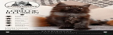 SandiKoonz Lord of Illusion