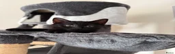 Mixed Breed cats for sale: Female kitten - Advert 1