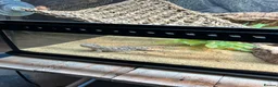 Dragon reptiles for sale: Rankins Dragon with full Set Up -£250 in Spalding - Advert 2