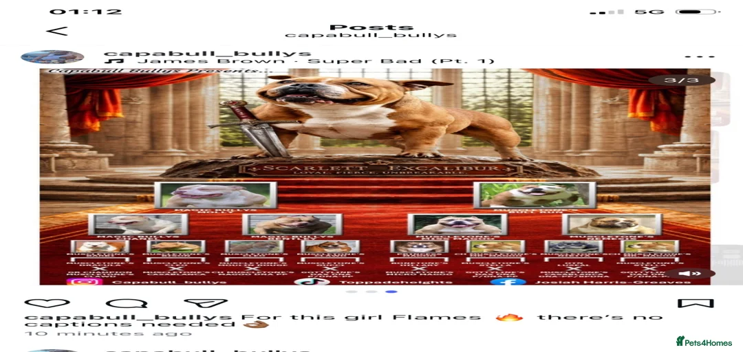 Gallery Image {{count}}