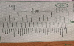 Cockapoo dogs for sale: 🖤BEAUTIFUL COCKAPOO FOR SALE🖤 - Advert 26