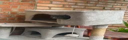 Russian Blue cats for sale: Russian blue kittens  - Advert 4