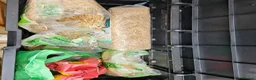 Mixed Breed rabbits for sale: Bunny's  - Advert 2