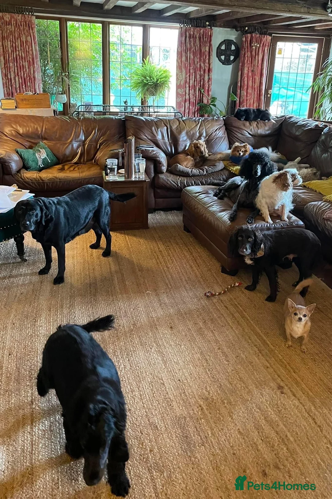 Gallery Image {{count}}