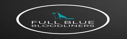 Staffordshire Bull Terrier dogs for stud: Aqua chop SPENCE🩸A SUPERB CH VALGLO BLOODLINE🩸 - Advert 19