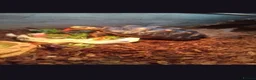 Tortoise reptiles for sale: Red footed tortoise - Advert 4