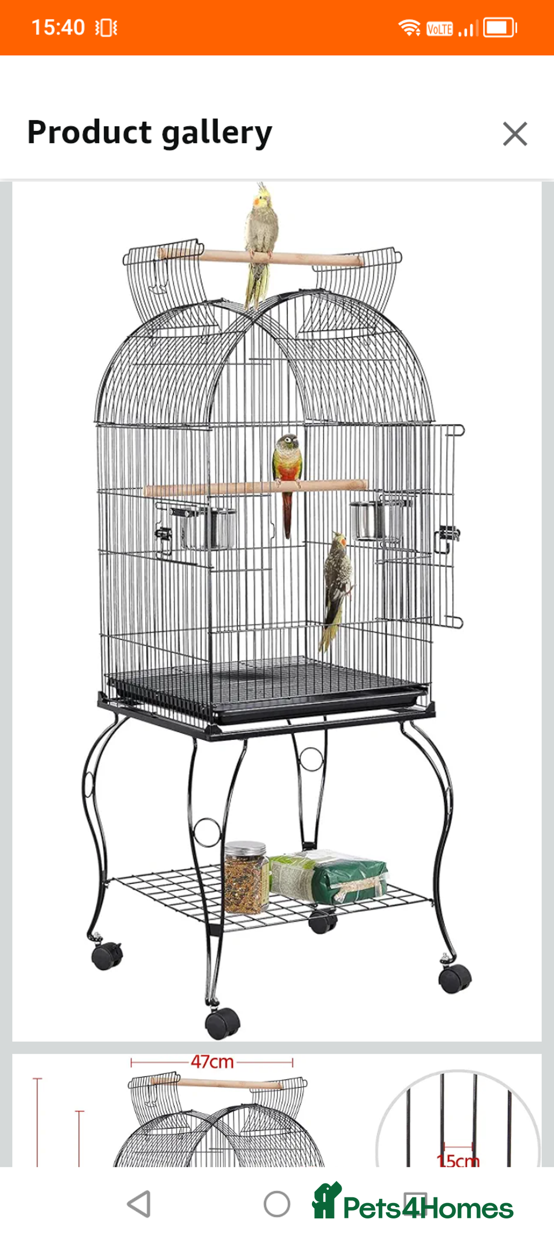 Lovebirds birds for sale: Lovebirds couple with cage - Advert 4