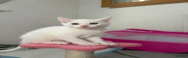Winnie 