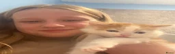 Mixed Breed cats for sale: 2 beautiful boys  - Advert 7