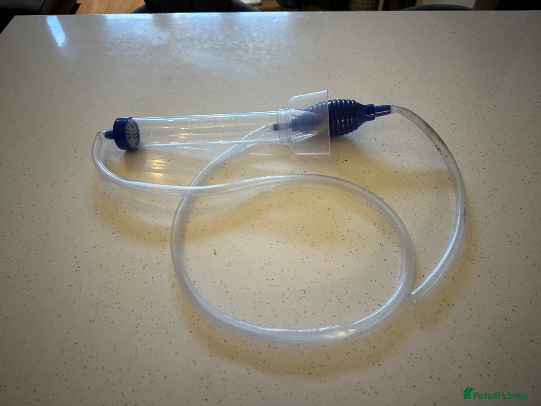 Angelfish fish for sale: Fish tank starter kit - Advert 5