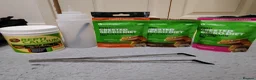Gecko reptiles for sale: Crested gecko for sale 🦎Big bundle  in Maidenhead - Advert 3