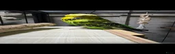 Budgerigars birds for sale: Exhibition budgies (bonded pair) - Advert 6