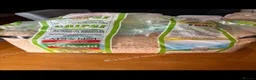 Hamster rodents for sale: Hamster and full set up for sale  - Advert 8