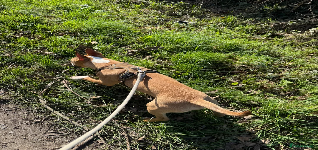 Gallery Image {{count}}