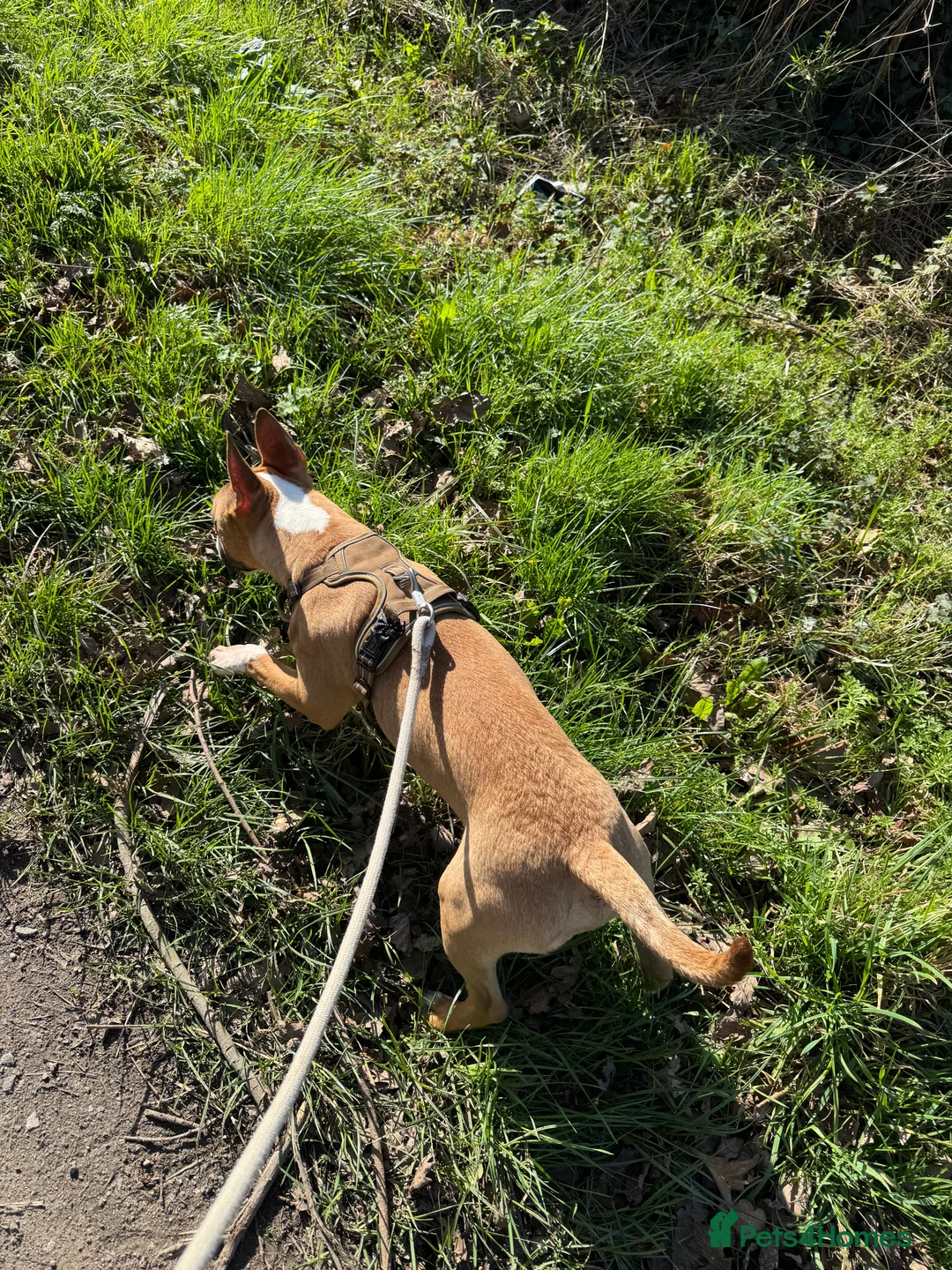 Gallery Image {{count}}