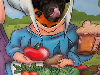 Staffordshire Bull Terrier dogs Staffy - Advert 1