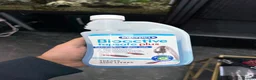 Plecos fish for sale: 160L Aquarium Full Setup with Fish & Filter in Lutterworth - Advert 15