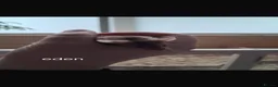Mouse rodents for sale: Female mice and setup - Advert 7